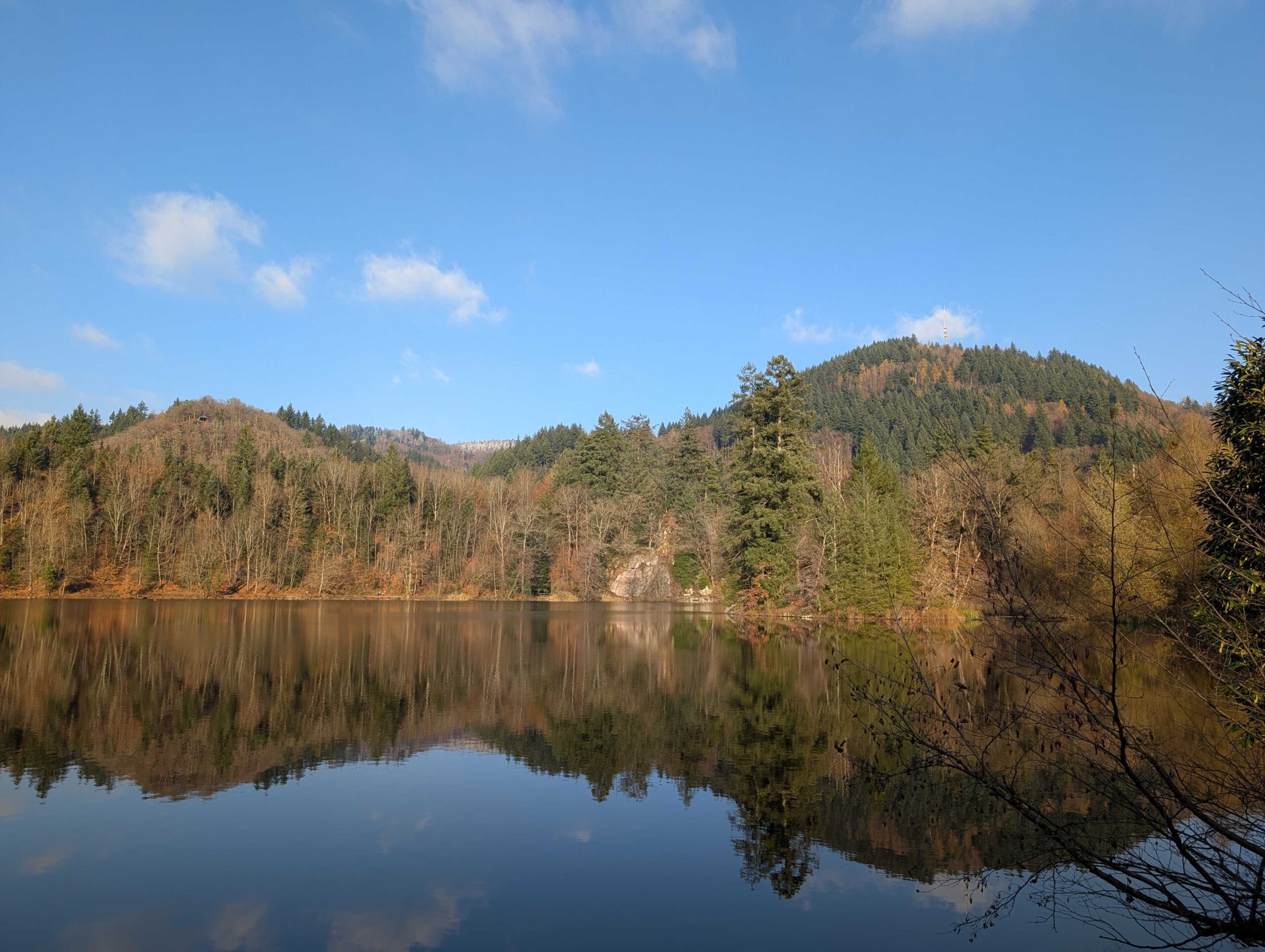 PXL_20251122_133022487